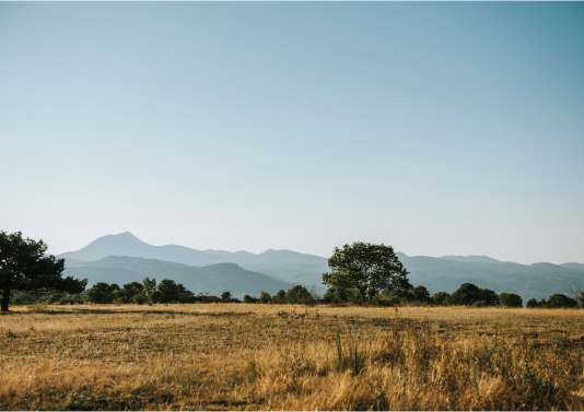 confiez-nous votre projet, notre priorit&eacute; est de le r&eacute;aliser avec excellence et engagement.